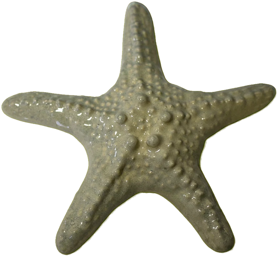 Sage-green ceramic starfish with bumpy, textured arms