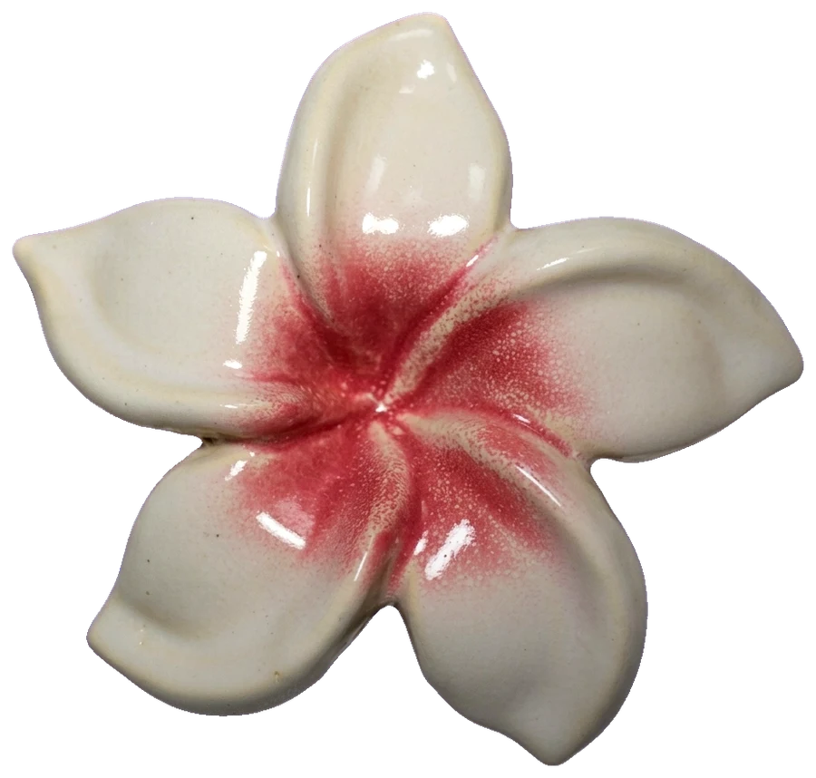 White ceramic frangipani with a deep pink centre