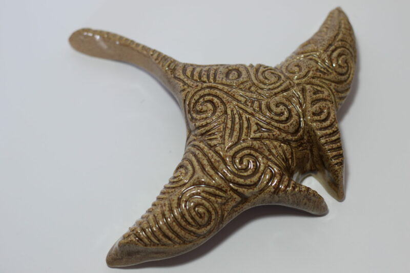 Small Manta Ray