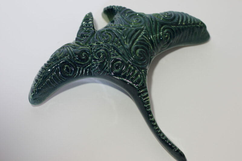 Small Manta Ray - Image 4