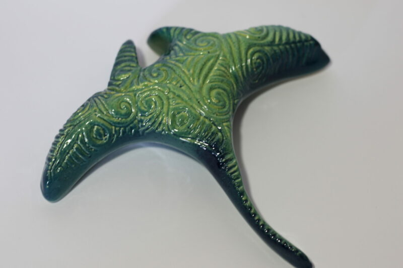Small Manta Ray - Image 3