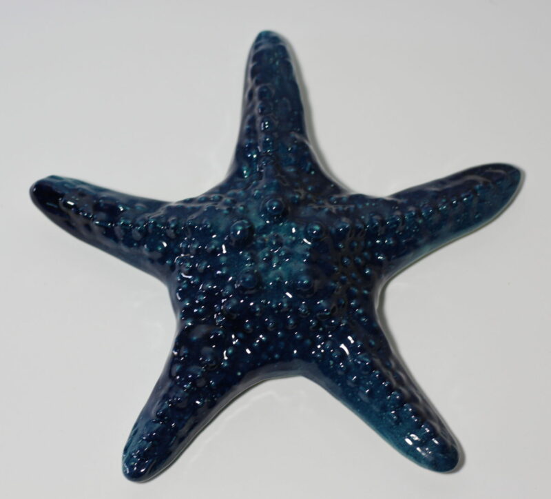 Starfish (blue)
