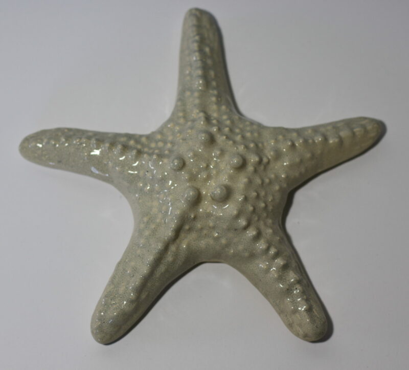 Starfish (white)