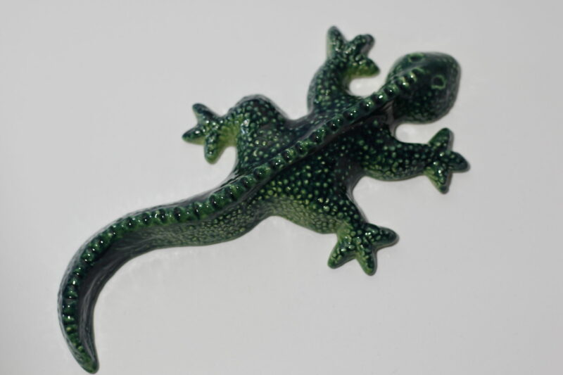 Gecko small 1